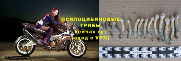 гидропоника Медногорск